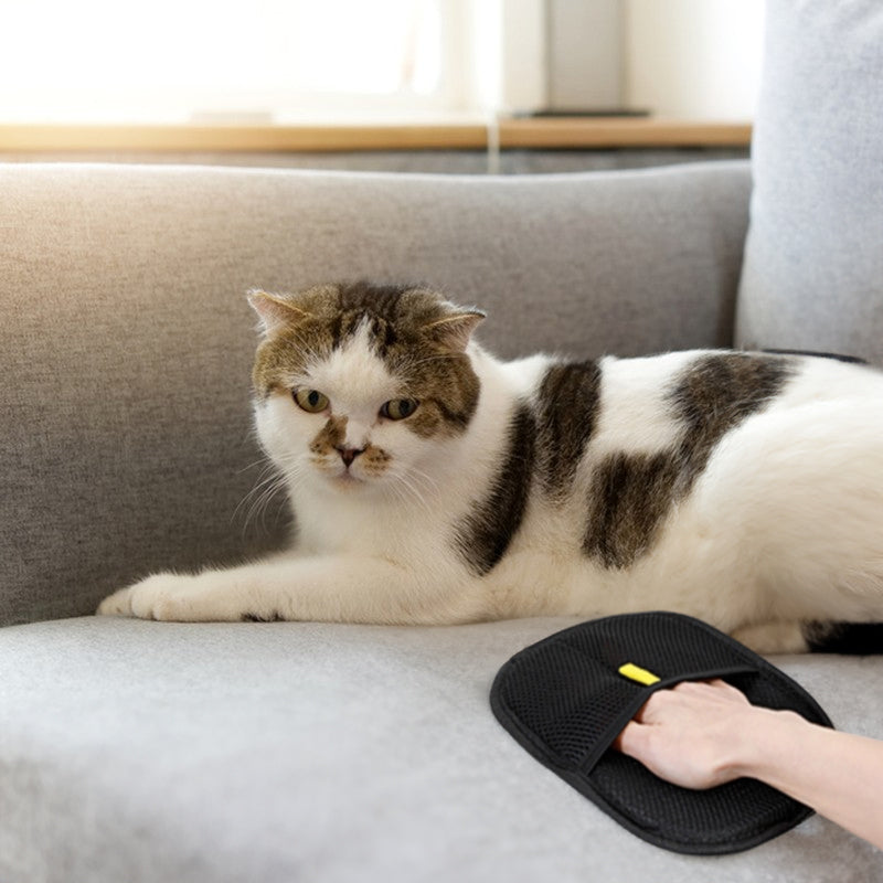 3-in-1 Pet Hair Removal Gloves – Grooming, Deshedding & Surface Cleaner